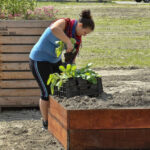 Maak je stad groener.